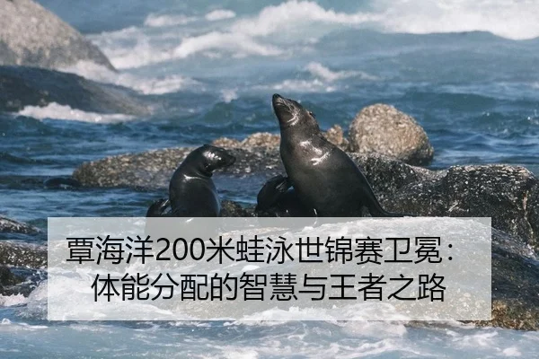 tan-hai-yang-mi-wa-yong-shi-jin-sai-wei-mian-ti-neng-fen-pei-de-zhi-hui-yu-wang-zhe-zhi-lu-2-155.jpg