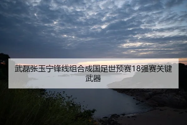 武磊张玉宁锋线组合成国足世预赛18强赛关键武器