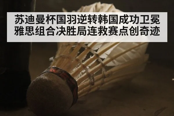 苏迪曼杯国羽逆转韩国成功卫冕雅思组合决胜局连救赛点创奇迹