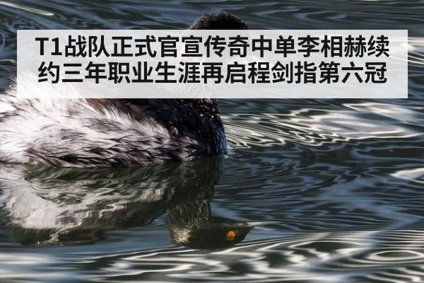 T1战队正式官宣传奇中单李相赫续约三年职业生涯再启程剑指第六冠