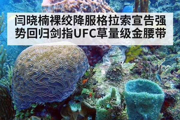 闫晓楠裸绞降服格拉索宣告强势回归剑指UFC草量级金腰带